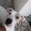 Manuel Marez - @manuelmarez346 - TikTok