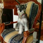 manuel marulanda - @marulanda7522 - Instagram