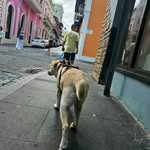 Manuel Massa - @manuel011_ - Instagram