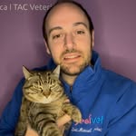 Manuel Mastrelli - Il Veterinario - @manuelmastrelli_vet - Instagram