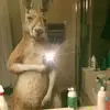 Manuel Mayo - @manuel.mayo56 - TikTok