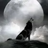 manuelmayorga1405 - @manuelmayorga1405 - TikTok