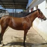 Manuel Mazon - @mamape84 - Instagram