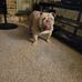 Manuel McAfee - Facebook