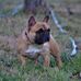 Manuel Mccoy - Facebook