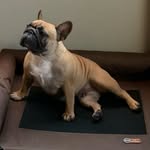 Manuel Mccoy - @mccoy808 - Instagram