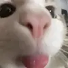 ManuelMccoy - @domenmax04m - TikTok