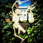 Manuel McGraw - @heyheyyoucomehere - Instagram