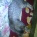 Manuel Melara - Facebook