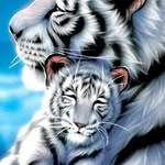 Manuel Meyer - @manuel.meyer.18007 - Instagram