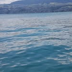 Manuel Meyer - @manuelmeyer7443 - Instagram