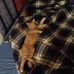 Manuel Montez - Facebook