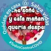 505_Darwin, - @manuelmorato1 - TikTok