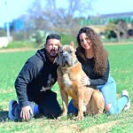 Juan Manuel Morato - @canecorso_juanmamorato - Instagram