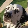 Amy Manuel Mullins - @amymanuelmullins - TikTok