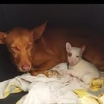 Manuel Muriel Aguilera - @manuelmurielaguilera - Instagram
