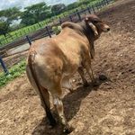 Manuel Atencio - @manuel__myers - Instagram