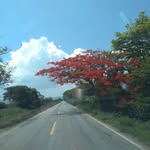 Manuel Negrette - @manue_lnegrette - Instagram