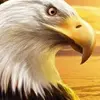 Manuel Nerio - @manuelnerio2 - TikTok