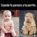 Víctor Manuel Nerio Anhuaman - Facebook