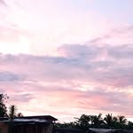Manuel NewMan - @manuelnewman40 - Instagram