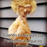 Newton Manuel Rosa severino - @newtonmanuelrosa - Instagram