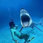 6647263306 - @manuelnez693 - Instagram