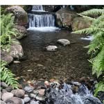 Gilmar manuel niebles bustos - @gilmarmanuelniebles - Instagram