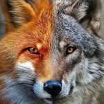 juan manuel nila - @bimbo.cavalier - Instagram