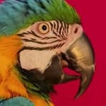 Manuel Nila - @manuel.nila - Instagram