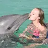 manuelanovak303 - @manuelanovak303 - TikTok