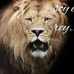 Jose Manuel Olmedo Ortiz - Facebook