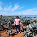 Manuel Olmedo Balandrano - @manolini - Instagram