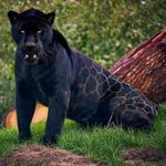 Juan Manuel osegueda Lozano - @ljuanmanuelosegueda - Instagram
