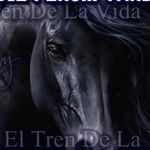 Manuel Osegueda - @manuel_osegueda13 - Instagram