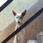 Juan Manuel Ostos Gomez - @juanmanuelostosgomez - Instagram