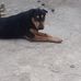 Manuel Othon - Facebook