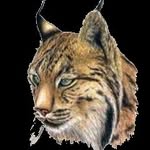 LUIS MANUEL CONDE PALMEIRO - @luisconde67 - Instagram