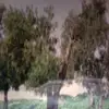 manuelgarciapalmeiro - @manuelgarciapalmeiro - TikTok