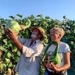 Manuel Palomo - @manuelpalomo1950 - Instagram