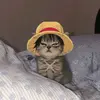 Manuel Palomo - @manuel.palomo05 - TikTok