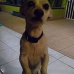 Manuel Palos - Facebook