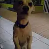 Manuel Palos - @manuel.palos6 - TikTok