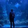 Manuel Pantaleon - @manuelpantaleon - TikTok