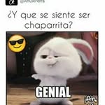 Manuel Pantaleon - @manuel.pantaleon.526 - Instagram