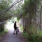 Manuel Paramo - @manuel.paramo.735 - Instagram