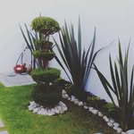 MANUEL PARAMO - @manuelparamolopez - Instagram
