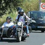 Manuel Pardal - @pardalmanuel - Instagram