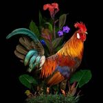 Manuel Pardal - @monaghandude - Instagram