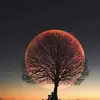 Manuel Pascacio377 - @manuelpascacio377 - TikTok